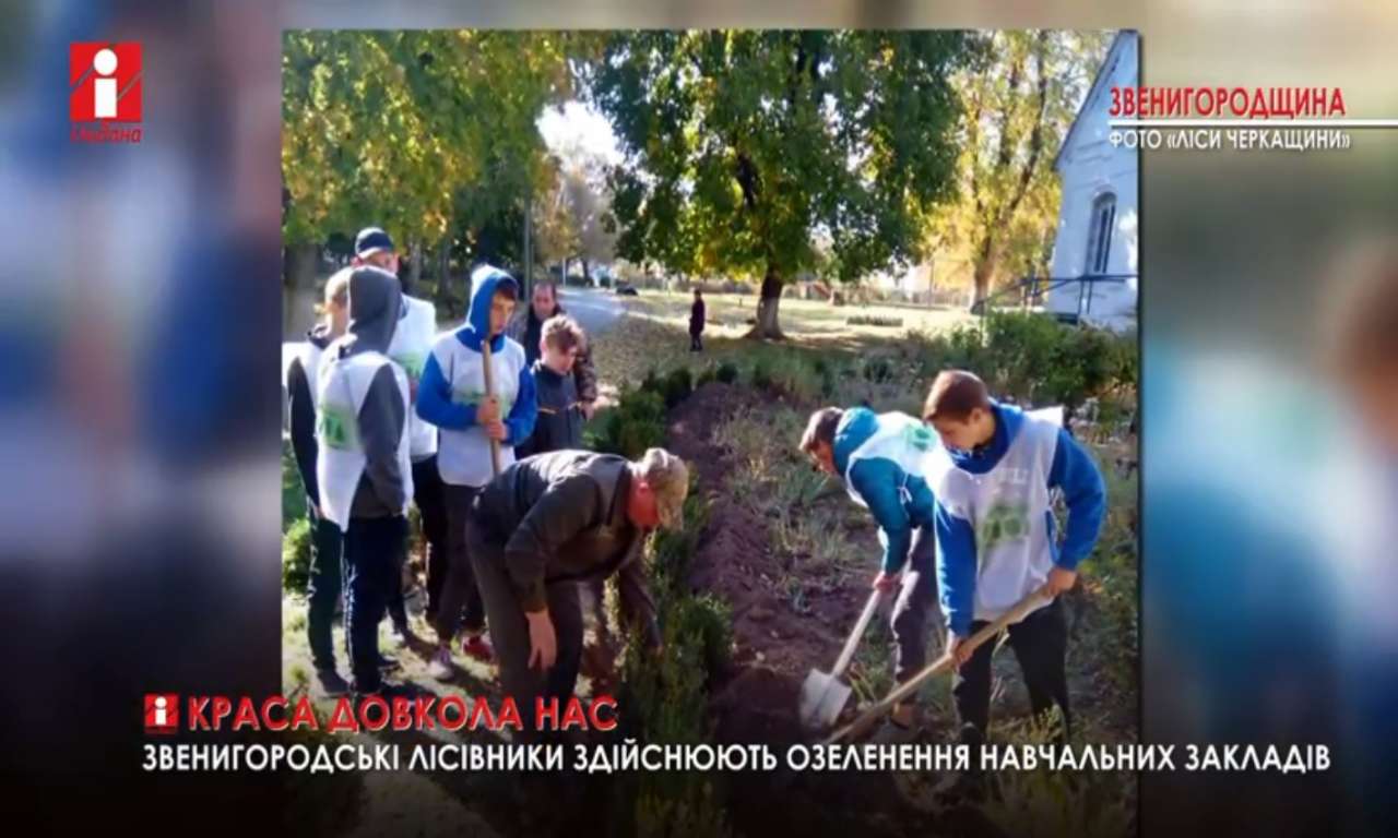 Звенигородські лісівники допомогли озеленити території Шполянського інтернату та  Вільховецького НВК (ВІДЕО)